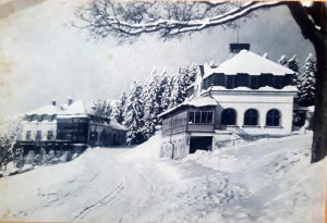 Das Foto zeigt die Weinhäuser Birke und Grötzbach in Johannesberg