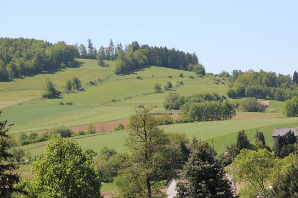 Ausblick auf die schöne Grafschafter Landschaft