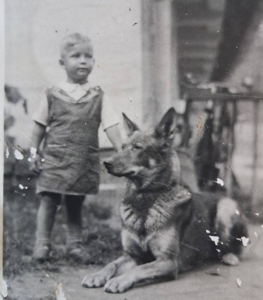 Ferienkind im Haus Weiser in Seitenberg mit einem Schäferhund