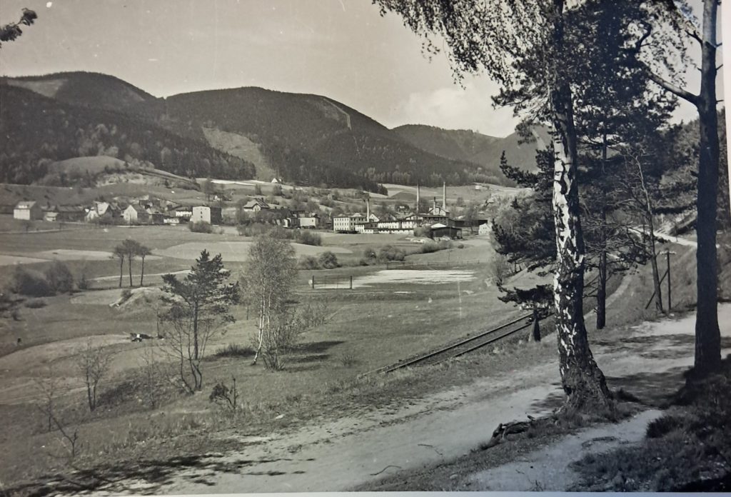 Dieses Foto zeigt den Blick von der Bahnstrecke auf Niederwüstegiersdorf