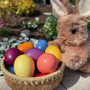 Frohe Ostern!